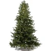Albero di Natale Illuminato Anthony 2000LED h210Ø148cm PE+PVC