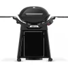 Barbecue Weber a Gas Q 3200N+ Black Cod. 1501135