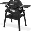 Barbecue Weber a Gas Q 1200N Con Stand Black Cod. 1501087