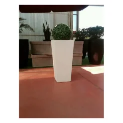 Bosso a Palla Artificiale Diametro 40 Cm