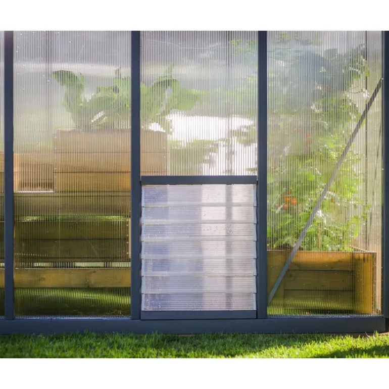 Canopia Glory Serra Da Giardino in Policarbonato di Premium 484X253X268 cm