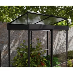 Canopia Ivy Mini Serra Da Giardino in Policarbonato 124X64X150 cm
