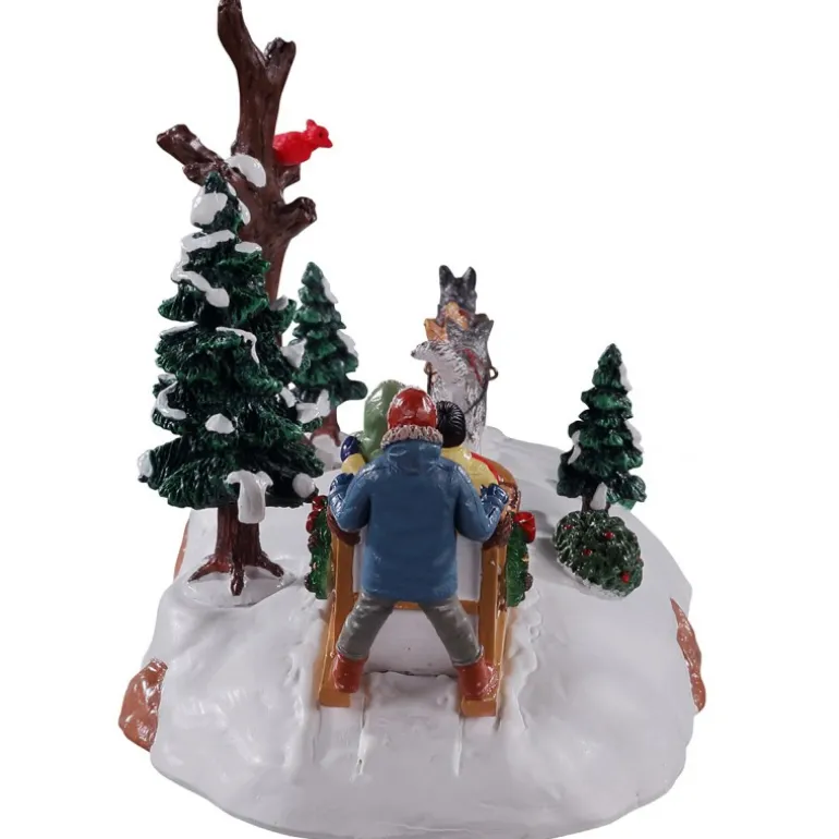 Dog Sledding Afternoon Cod. 13557