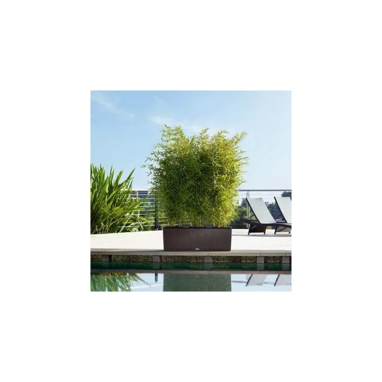 Fioriera Trio Cottage 40 Lechuza Set Completo