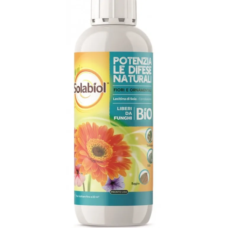 Forminix Polvere 375 g SBM