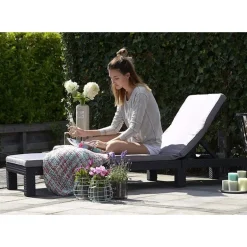 Keter Lettino Sdraio Con Cuscino DAYTONA Grafite
