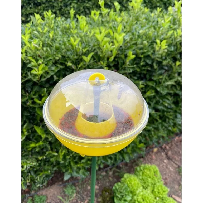 Kit Trappola MELATRAP + VESPOKIL InVerde