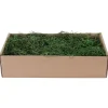 Muschio Spagnolo Verde 500 gr