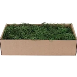 Muschio Spagnolo Verde 500 gr