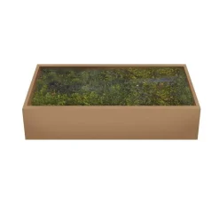 Muschio Verde 500 gr