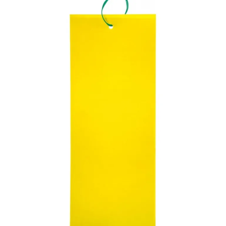 Stocker Insect Trappola adesiva XL 24 x 17 cm