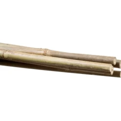 Stocker Reggipiante in bambù 14 16 mm 150 cm