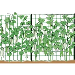 Stocker Rete rampicante 2 x 10 m