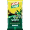 Terriccio Cactacee 20 litri Vigorplant