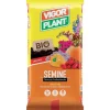 Terriccio Semine 45 litri Vigorplant