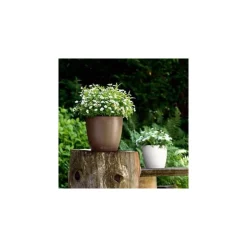 Vaso Classico Color 43 Lechuza Set Completo