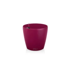 Vaso Classico Color 28 Lechuza Set Completo