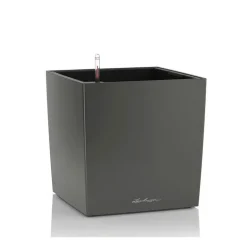 Vaso Cube 30 Lechuza Set Completo