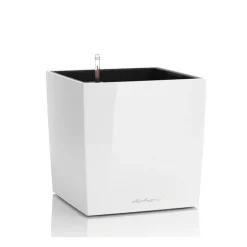 Vaso Cube 50 Lechuza Set Completo