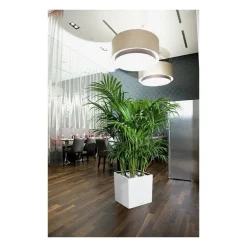 Vaso Cube 50 Lechuza Set Completo