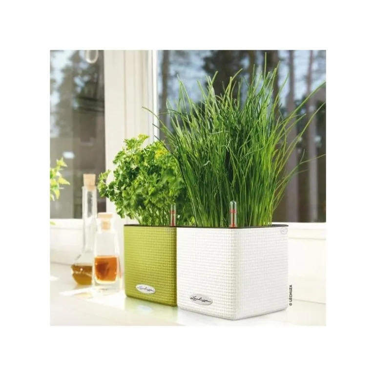 Vaso Cube Color 14 Lechuza Set Completo