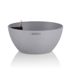 Vaso Cubeto 40 Lechuza Set Completo