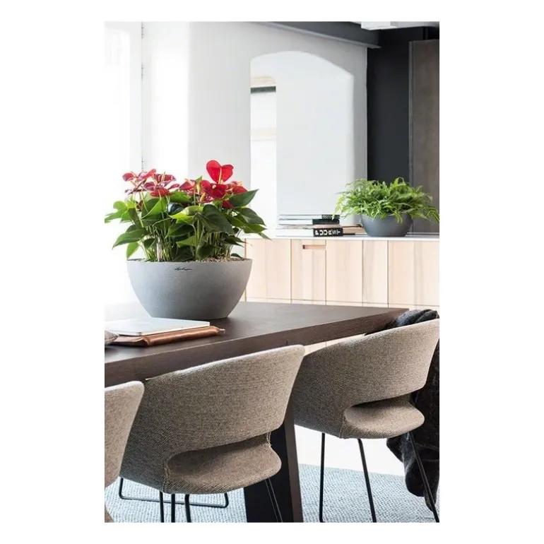 Vaso Cubeto 30 Lechuza Set Completo