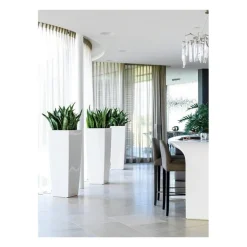 Vaso Cubico Alto Lechuza Set Completo