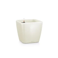 Vaso Quadro Premium 28 Lechuza Set Completo