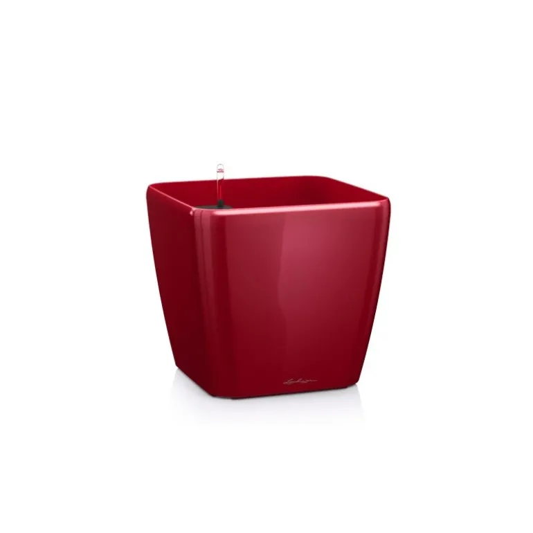 Vaso Quadro Premium 21 Lechuza Set Completo