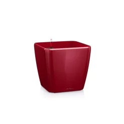 Vaso Quadro Premium 50 Lechuza Set Completo