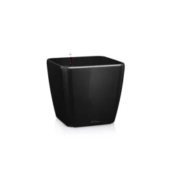 Vaso Quadro Premium 50 Lechuza Set Completo